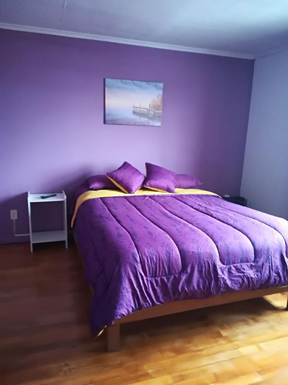 Апартаменты Puq Casa Amigos Пунта-Аренас Экстерьер фото